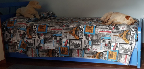 Letto singolo con - singolo, e