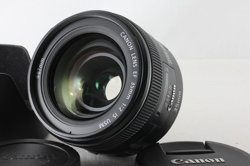 Obiettivo grandangolare canon - grandangolare,