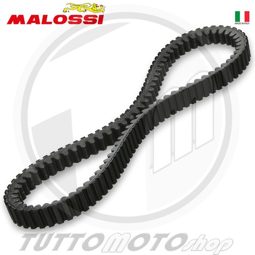 6115280 cinghia malossi k - 6115280, x