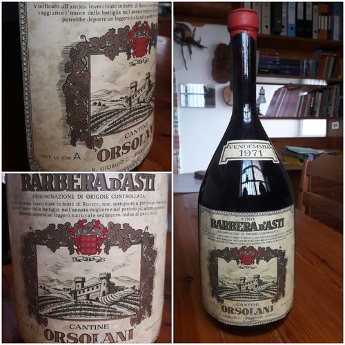 Vino barbera asti orsolani - vino,