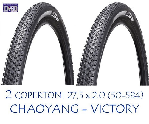 Copertoni chaoyang victory - 2,