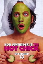 POSTER FILM THE HOT CHICK