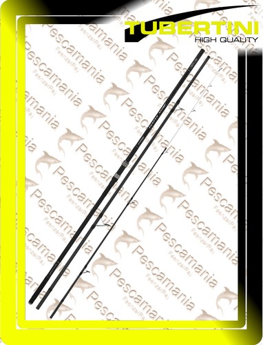 Canna tubertini fasten surf - canna,