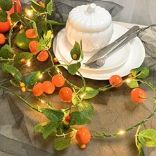 Riaxuebiy Artificiale Frutti