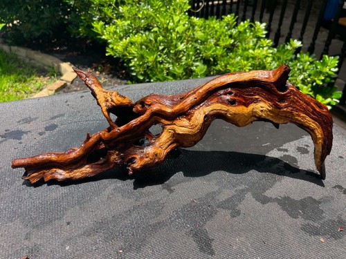 Driftwood mopani acquari - acquari, pesci