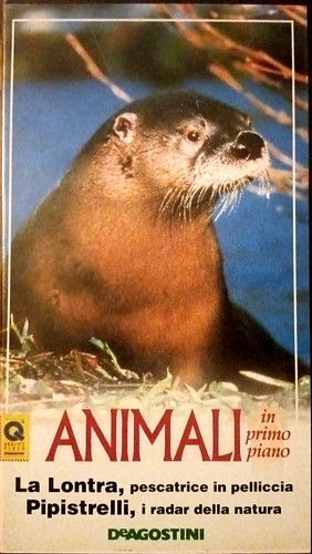 Piero angela animali - in, primo