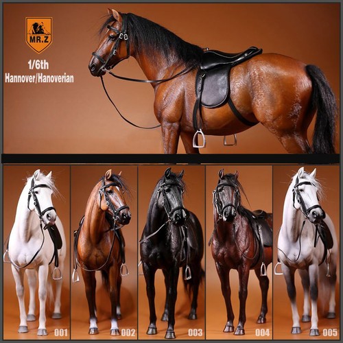 Mrz germany hannover horse - mrz,