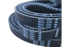 CINGHIA TRASMISSIONE LIGIER