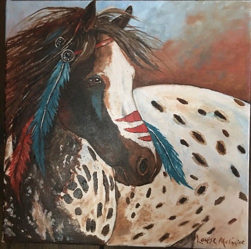 Native appaloosa horse - appaloosa,