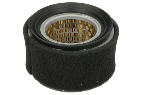 Filtro dell aria - per, bcs