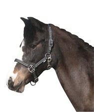 Horse Guard RIO String
