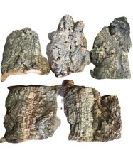 5 pezzi di sughero naturale