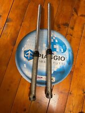 Coppia steli forcella fantic