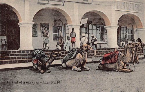 Postcard aden social life - ,