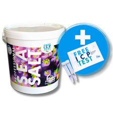 Fauna Marin Sale Marino