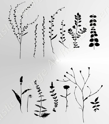 Set fiori campo - set, selvatico