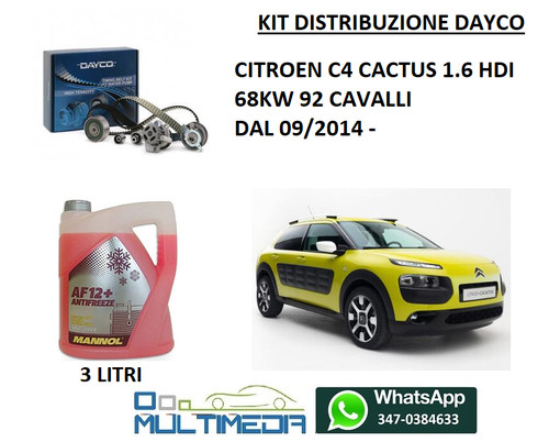 Kit distribuzione pompa - e,