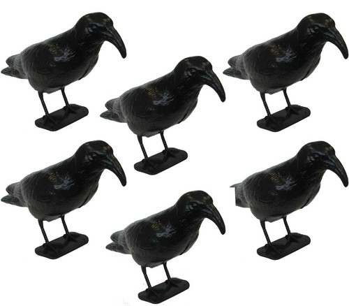 Offerta statue dissuasore - 6,