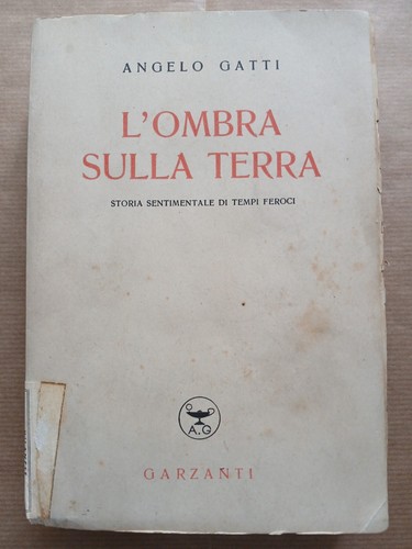 Angelo gatti ombra - gatti, sulla