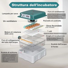 Incubatrice per Uova 24-36