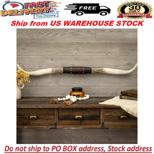 Western americana steer - americana, horn