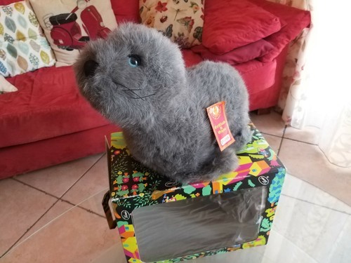 Rarissima foca lenci - rarissima,