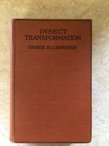 Insect transformation george - transformation,