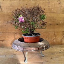 Antico Braciere in  Rame