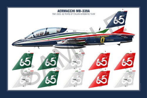 Aermacchi 339a squadron - mb-339a,
