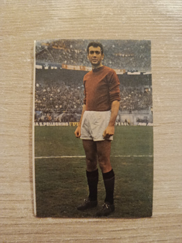 1966 patuzzi calciatori - 1966-67,