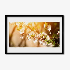 Arte da parete con cornice in