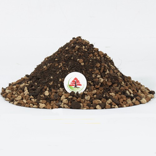 Terriccio pronto per bonsai - terriccio,
