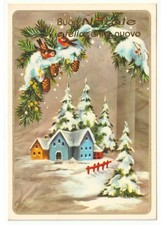 1988 pettirossi ramo abete