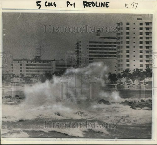 1965 stampa foto - 1965,