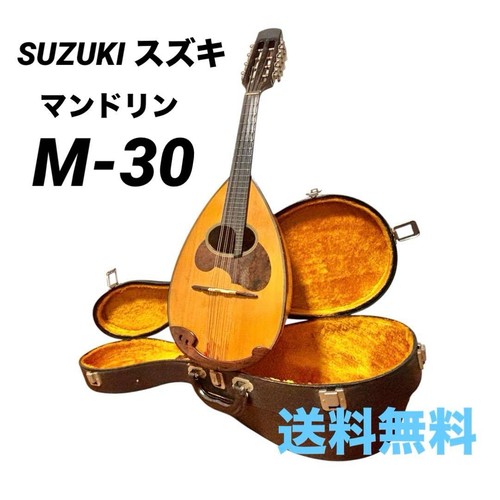 Suzuki mandolino con - suzuki,