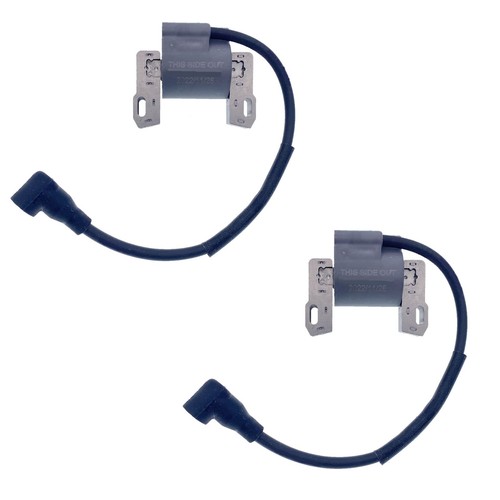 Bobina accensione 2pz briggs - 2pz,
