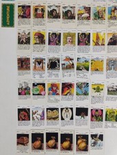 CARTE TALISMAN CARDS BOARD GAME GIOCO DA TAVOLO SINGOLE SECOND 2ND EDITION ITA