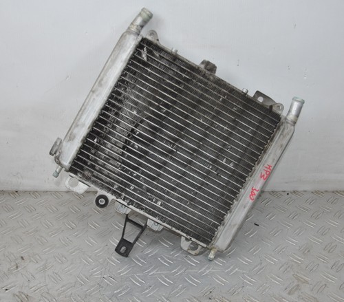 40540 radiatore - radiatore, +