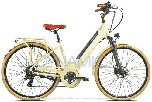 Bici elettrica ebike - bici,