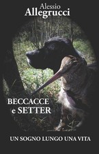 Beccacce setter un - beccacce, setter: