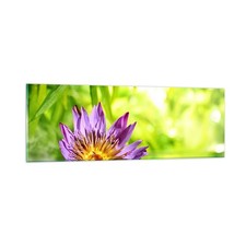 Quadro vetro 90x30cm asia - quadro,