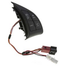Cruise Control Switch WVE