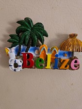 Calamita frigo Belize Beach