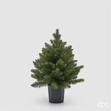 Albero Pino Argentato Con Vaso