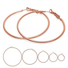 1 Paio Orecchini a Cerchio Oro