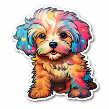 Adesivi auto maltipoo x - 9, 9