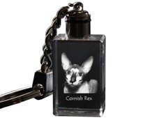 Cornisch Rex - Orologio Con