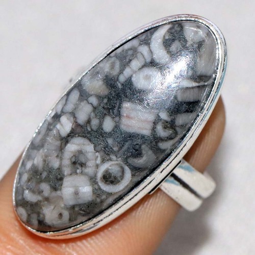 Anello fossile crinoide