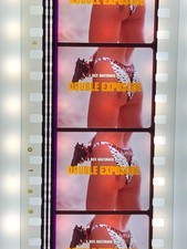 TERMINAL "DOUBLE" EXPOSURE