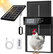 Porta Automatica Di Pollo